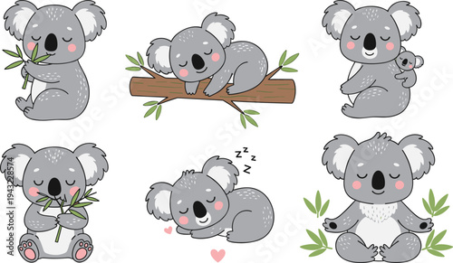 Cute koala characters collection eating eucalyptus sleeping sitting with baby cartoon animal flat vector illustration set isolated
