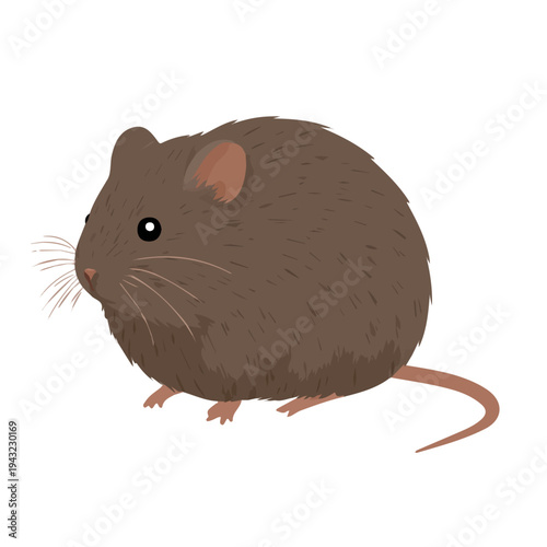 Vole illustrated in a clean 2D flat vector style, minimal and modern, isolated on a white background.