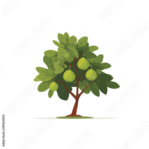 Simple flat 2D vector graphic of Guava Tree, modern icon look, displayed on a pure white background.