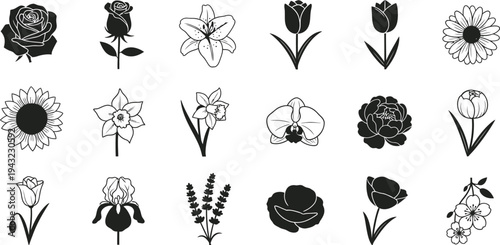 Black and white floral flowers plants