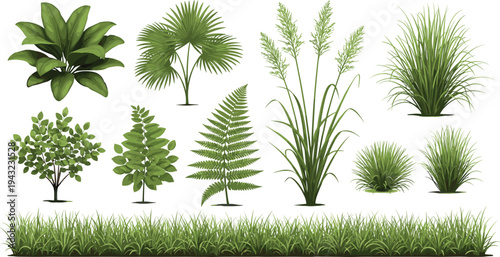 Green garden plants collection set, tropical leaves, grass, shrubs and fern botanical elements isolated on white background, nature vector illustration bundle