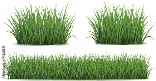 Green grass border collection set, fresh lawn grass tufts isolated on white background, natural garden plant elements vector illustration