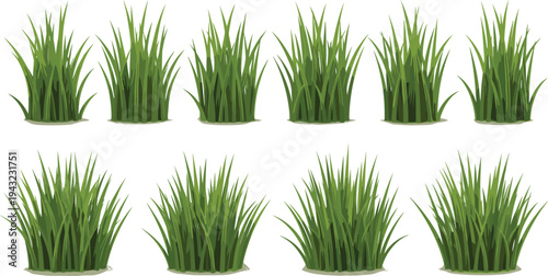 Green grass tuft collection set, fresh lawn grass plants isolated on white background, natural garden vegetation vector illustration bundle