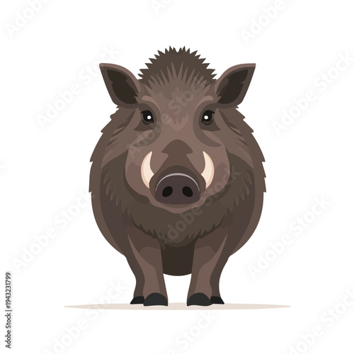 Simple flat 2D vector graphic of Boar, modern icon look, displayed on a pure white background.