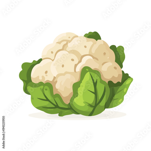 Modern flat 2D vector illustration of Cauliflower, clean and minimal design, isolated on white background.