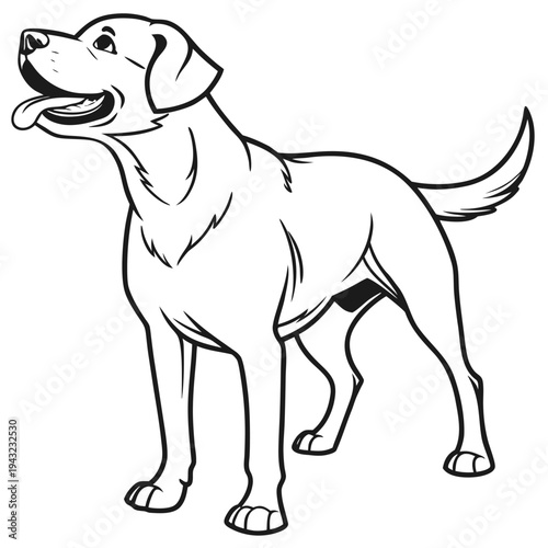 Vector illustration of outline drawing of a happy labrador retriever dog, friendly companion