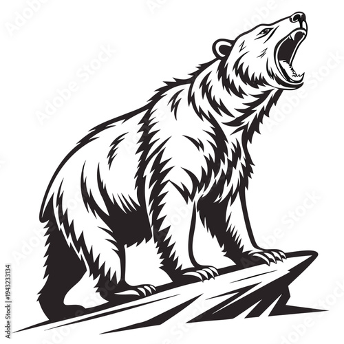 Vector illustration of black and white illustration of a roaring bear on a rock, aggressive