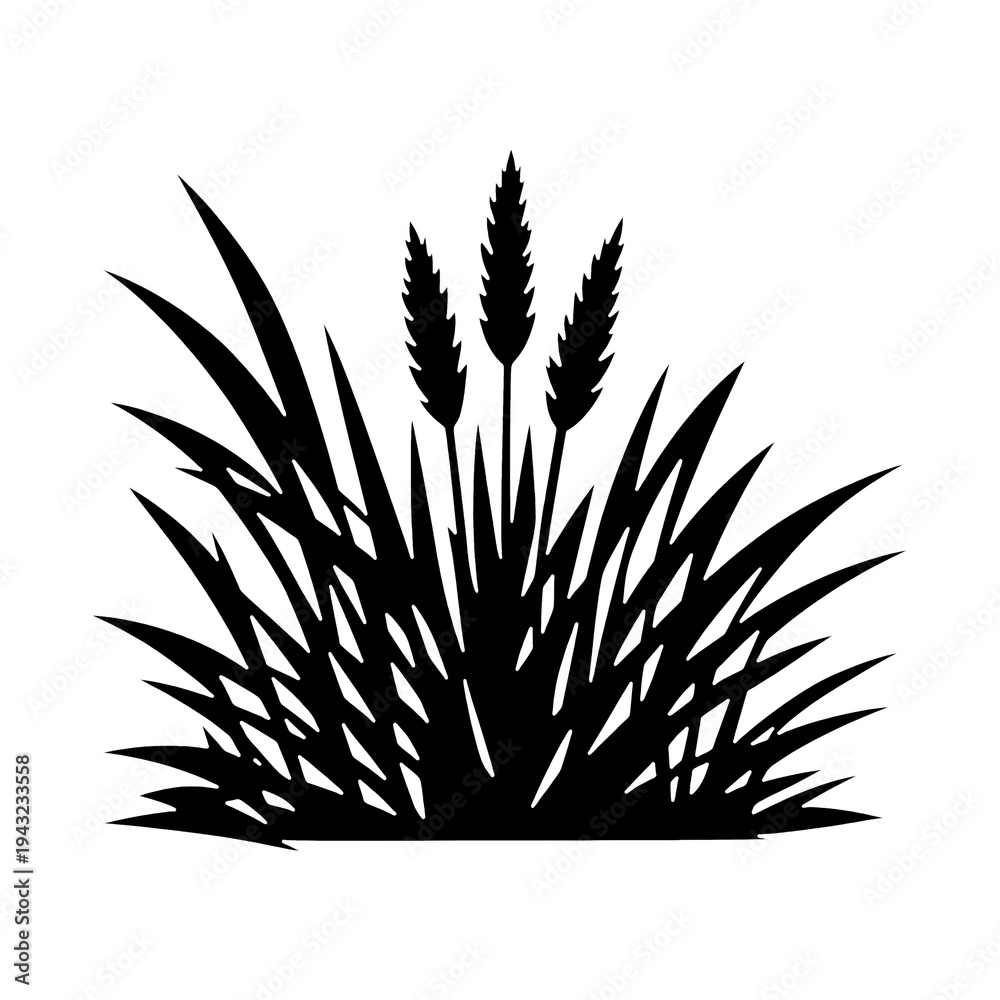 Fototapeta premium PNG Silhouette grass with wheat