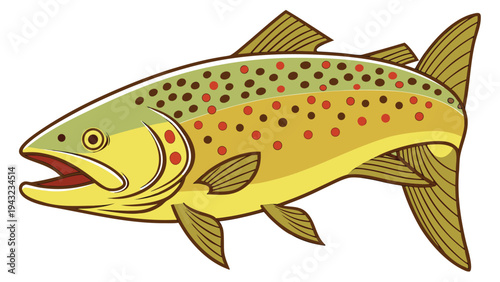 Vector illustration of brown trout fish swimming, detailed illustration for fishing and seafood