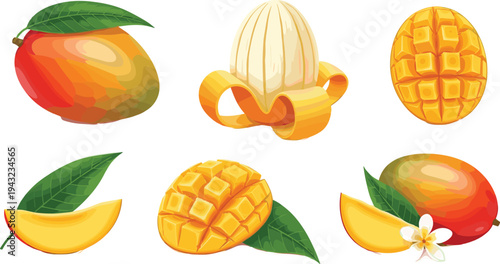 Mango fruit collection with whole mango, sliced pieces, mango cube and peeled mango, fresh tropical fruit set vector illustration isolated
