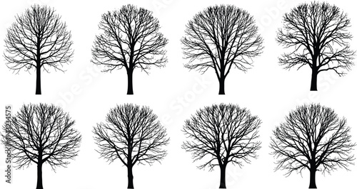 Leafless tree silhouette collection set, bare winter forest trees isolated on white background, detailed nature landscape vector illustration bundle