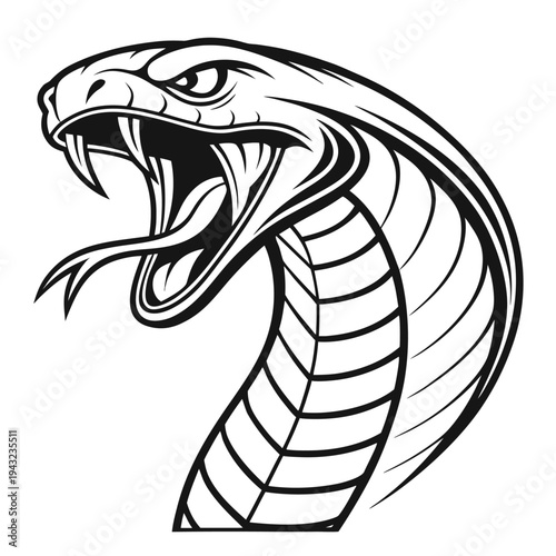 Vector illustration of aggressive cobra snake head illustration with open mouth and fangs