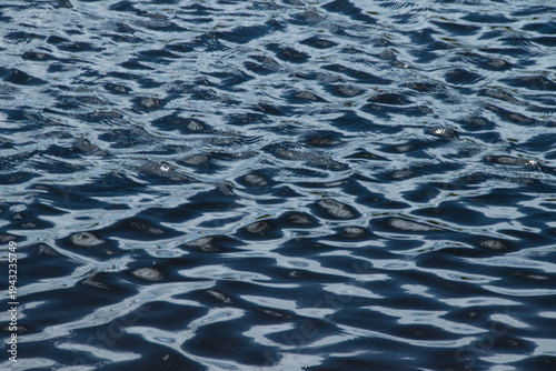 Closeup of the rippled surface of a pond.