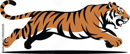 tiger vector illustration on white background.