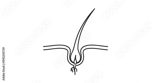 Simple Line Drawing of Sprouting Seed.
