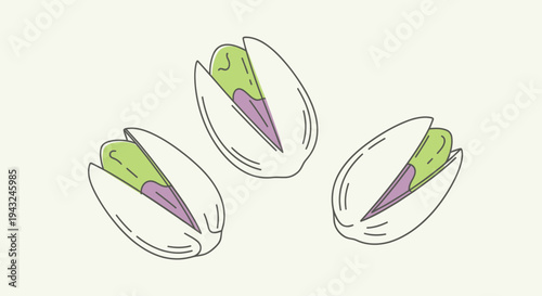 Illustration of Pistachio Nuts Halved Open.
