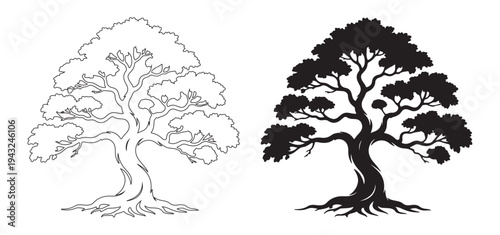 Gnarly ancient tree silhouette and line art version featuring exposed roots and twisted trunk for artistic botanical studies and mystical forest landscape elements