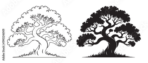 Spread oak tree silhouette and outline drawing collection on white background for environmental protection themes and landscape architecture mapping icons and signs