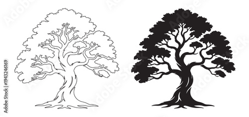 Old oak tree silhouette with deep roots and matching line art illustration for family lineage symbols and environmental conservation graphic design projects and logos