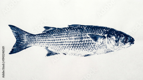 Flathead Grey Mullet Gyotaku fishing ink print