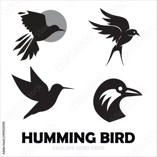 humming bird logo design template