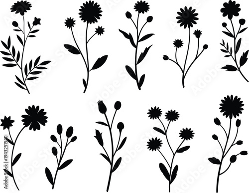 Set of black wildflower silhouettes with daisy camomile and garden blossoms isolated on white background for botanical vector design and nature inspired graphic elements