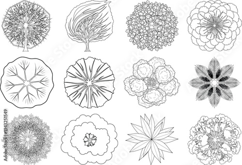 Collection of intricate snowflakes isolated on transparent background