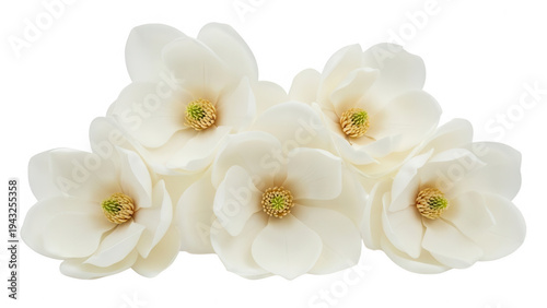 A bouquet of white flowers with green centers against a transparent background