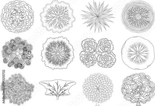 Collection of various detailed microscopic views of different cell structures isolated on transparent background
