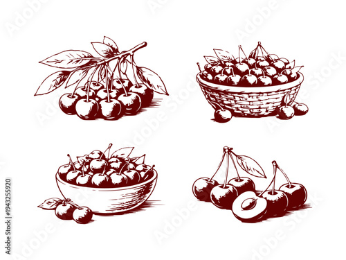 Simple hand drawn cherry icon set, engraved illustration.