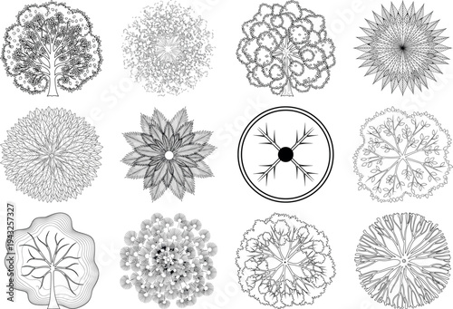 Collection of various cell division stages isolated on transparent background