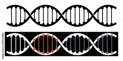 Iconic DNA Double Helix Structure in Black and White with Colored Segments