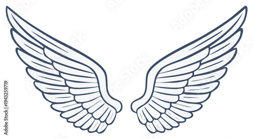 Elegant stylized symmetrical white bird wings vector illustration graphic element