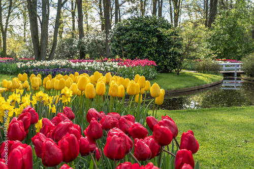Photography Jardin botanique aux tulipes de Keukenhof , à Lisse aux Pays-Bas