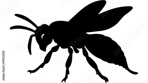 hornet black silhouette icon, aggressive insect silhouette, transparent background
