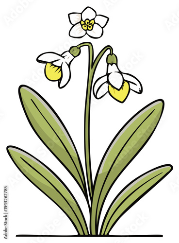 Cartoon illustration of a snowdrop flower with white petals and yellow centers.