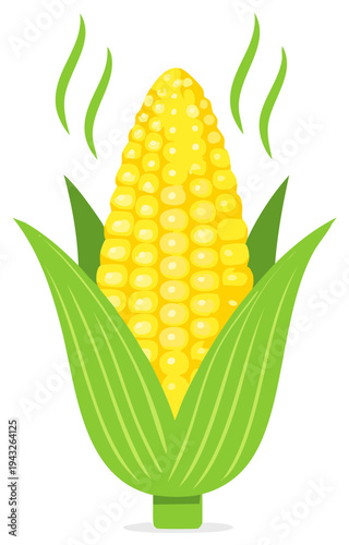 Corn on the Cob Illustration with Husk and Steam Graphic Isolated Vector