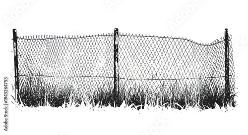 Rustic Wire Fence with Tall Grasses and Wildflowers, Countryside Border