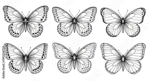 Six Hand-Drawn Butterflies in Sketch Style, Black and White