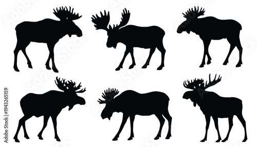 Silhouette of moose and elk, majestic wild animals, forest wildlife vector set