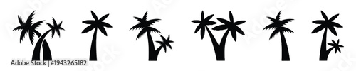 Silhouette of palm trees collection on white background, tropical nature and vacation symbols
