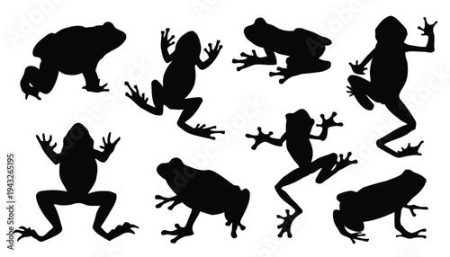 Silhouette of various frogs in different dynamic poses illustration vector