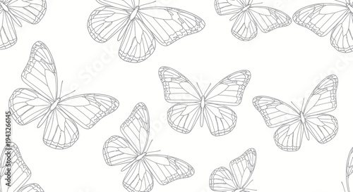 Seamless Butterfly Pattern, Delicate Line Art, Insect Illustration, Nature Background