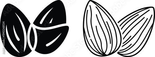 Black and white illustration of two seed pods side by side