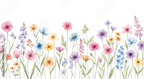 Vibrant watercolor wildflowers in bloom