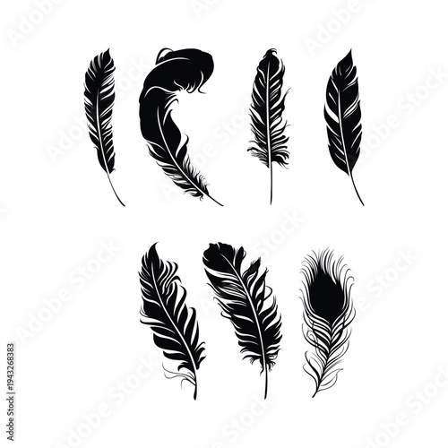 Set of feathers vector illustration with quills and wings