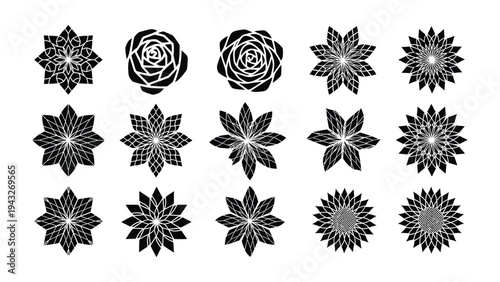 Botanical Patterns of Symmetry: An array of intricate floral patterns unfolds, exhibiting a stunning play of lines and shapes, evoking harmony and elegance.