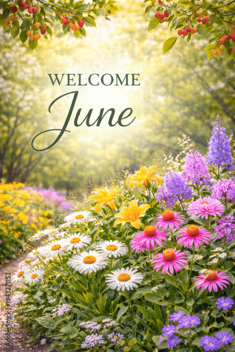 Summer background with Welcome June text and blooming daisies under sunny branches. Concept of seasonal greeting and summer welcome.