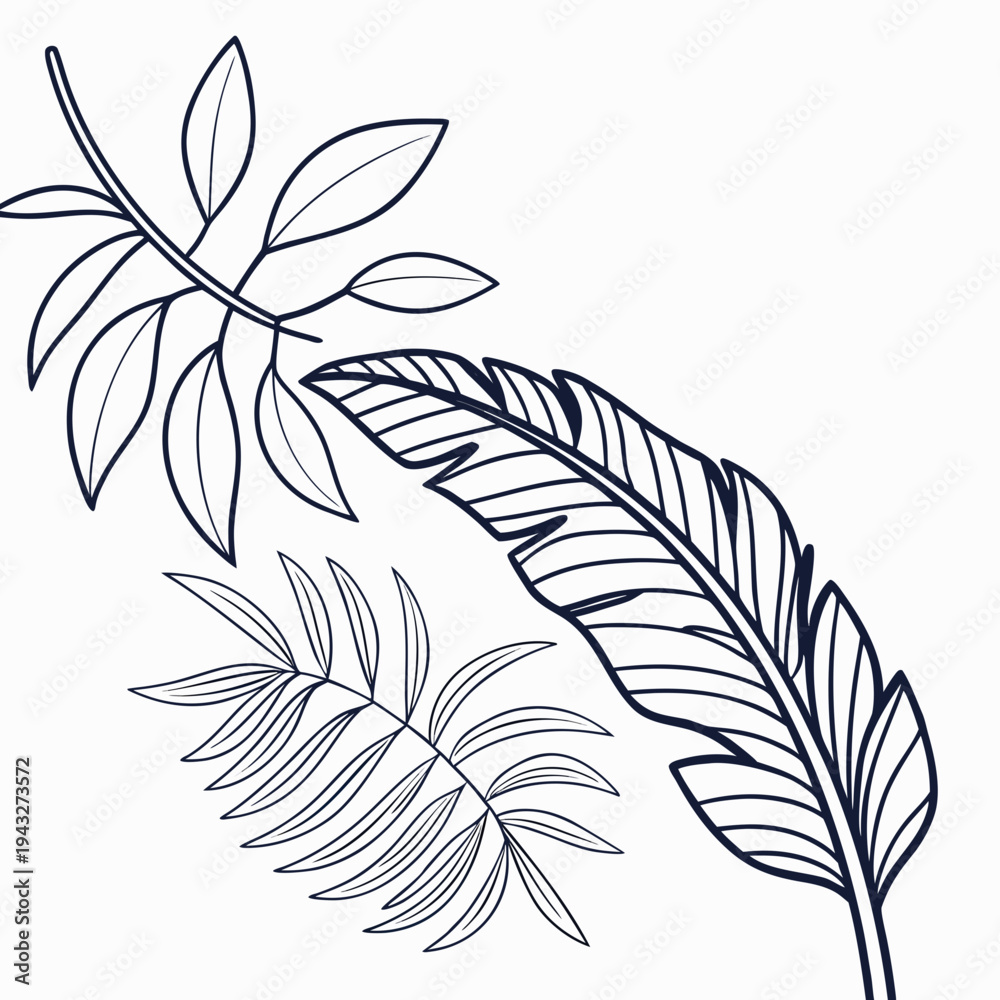 Fototapeta premium Exotic tropical foliage outline drawing, diverse botanical elements for summer design, banana and palm leaves vector art