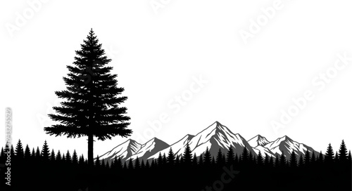 Pine Tree Silhouette Against Mountains.